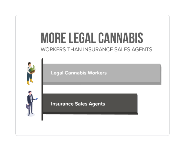 info-more-legal-cannabis